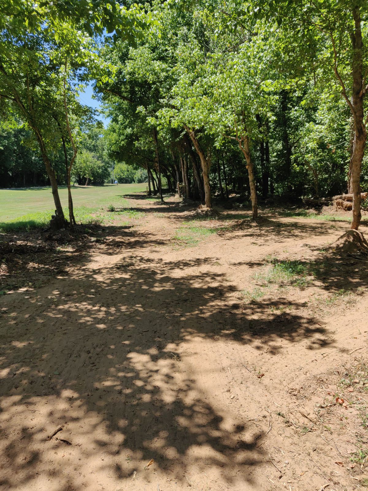 Hole 12. Looking at the basket from the exit of the wooded portion