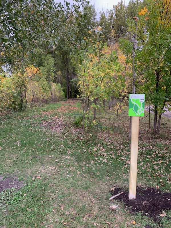 Tee pad hole 1