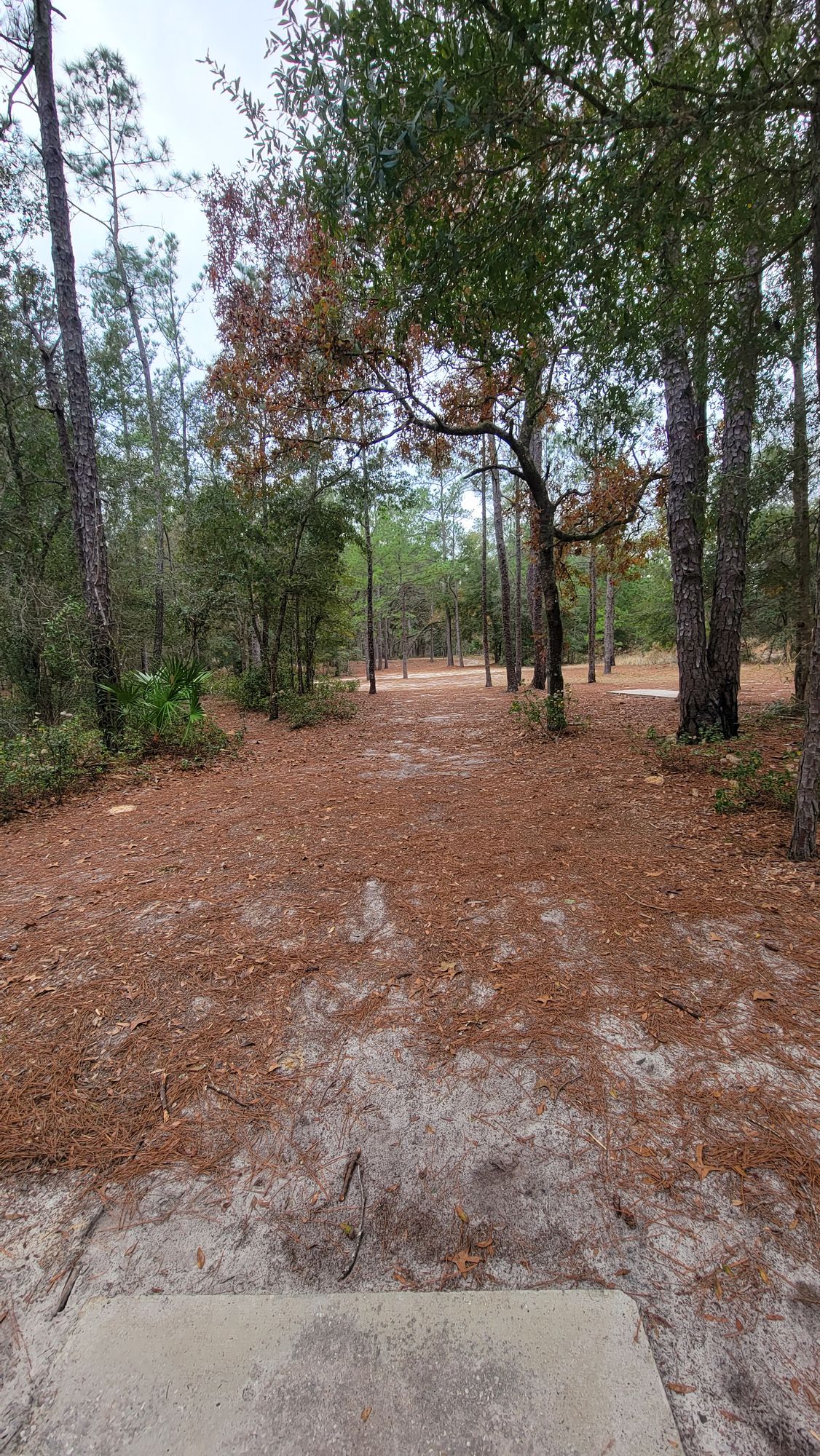 #3 Long Tee