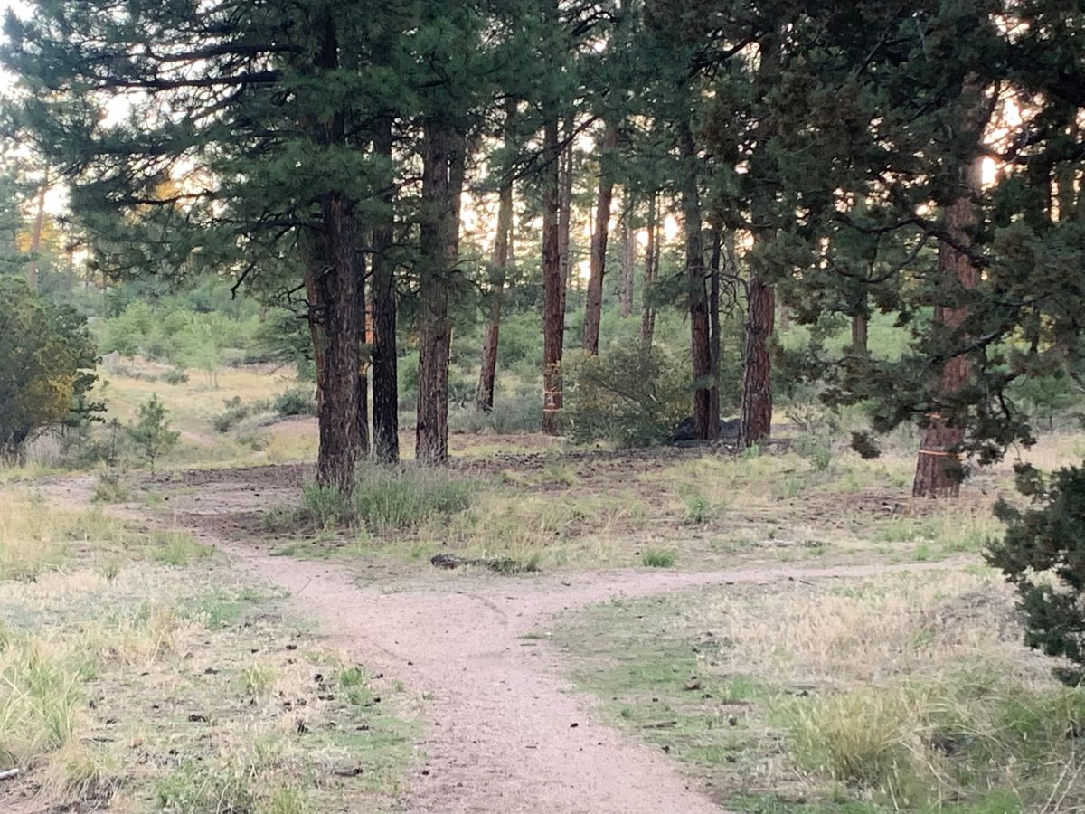 Hole 1