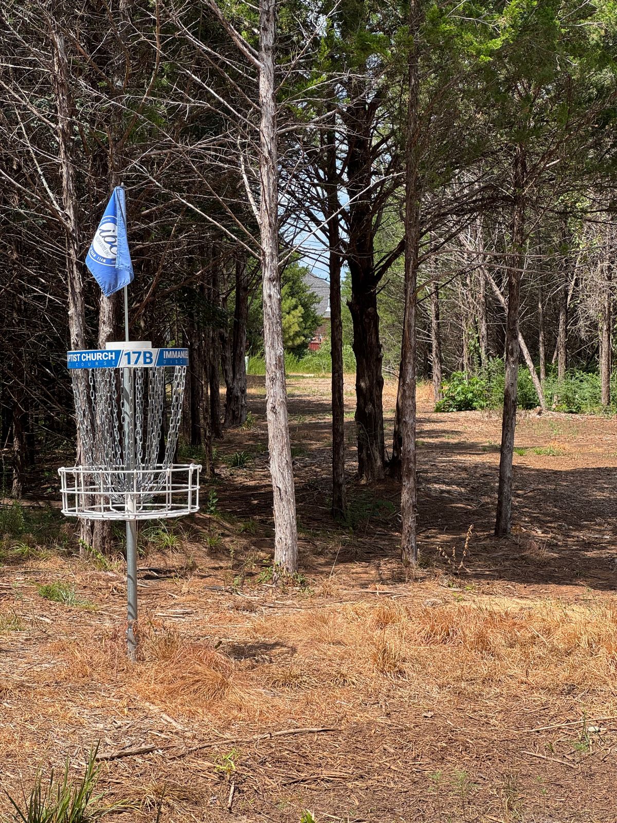 #17 long basket to tee