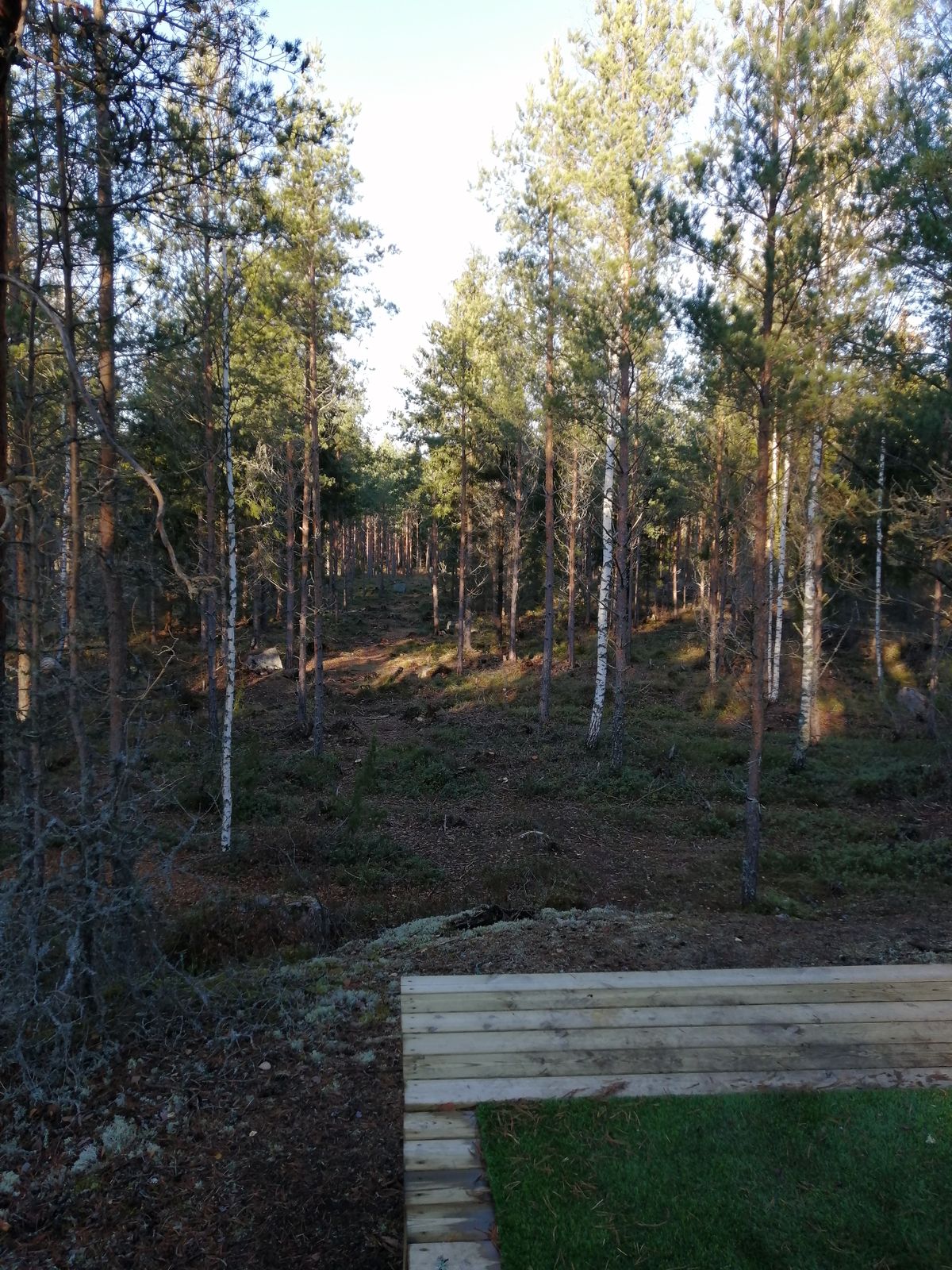 11. Väylä