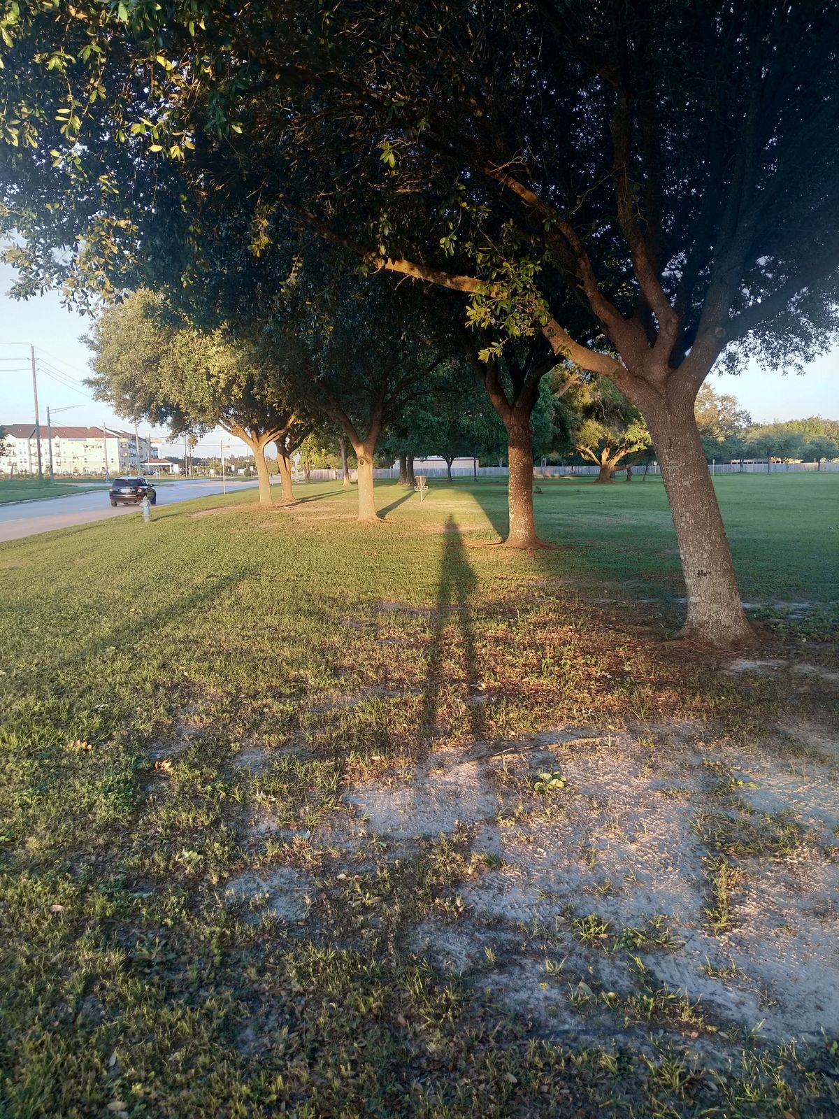Hole 5 tee (between trees)