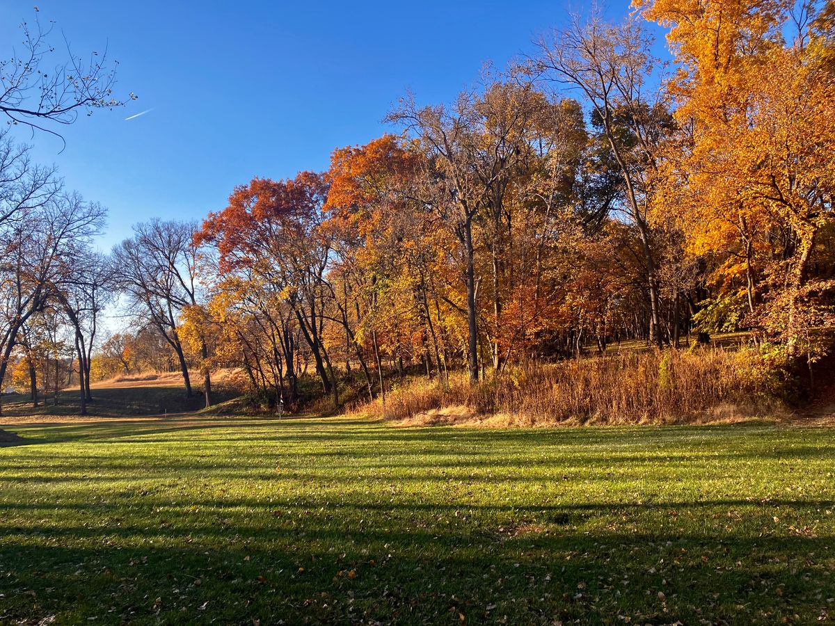 View from the fairway of Hole 2 looking back at Hole 14’s Basket.