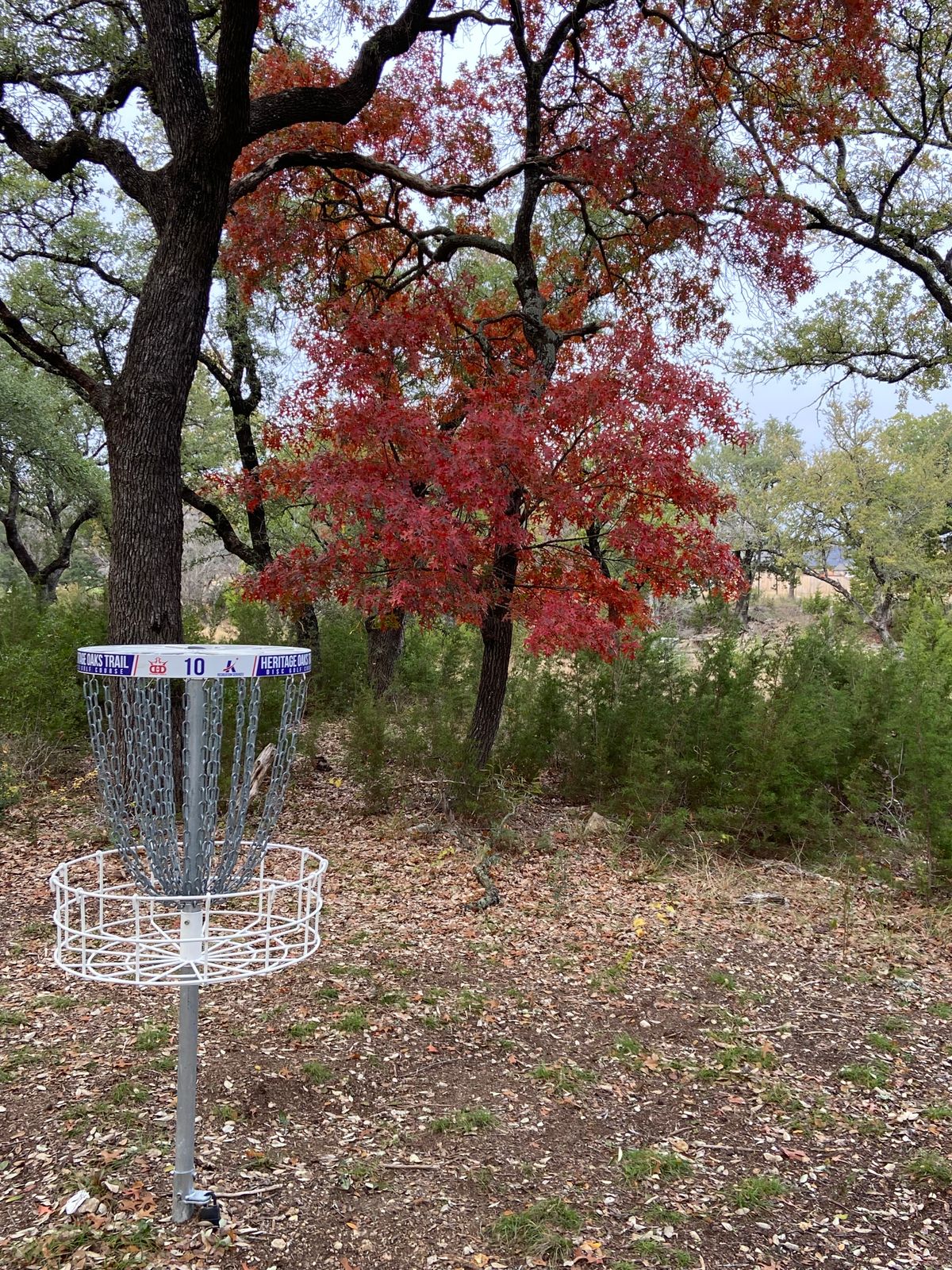Basket for hole 10.