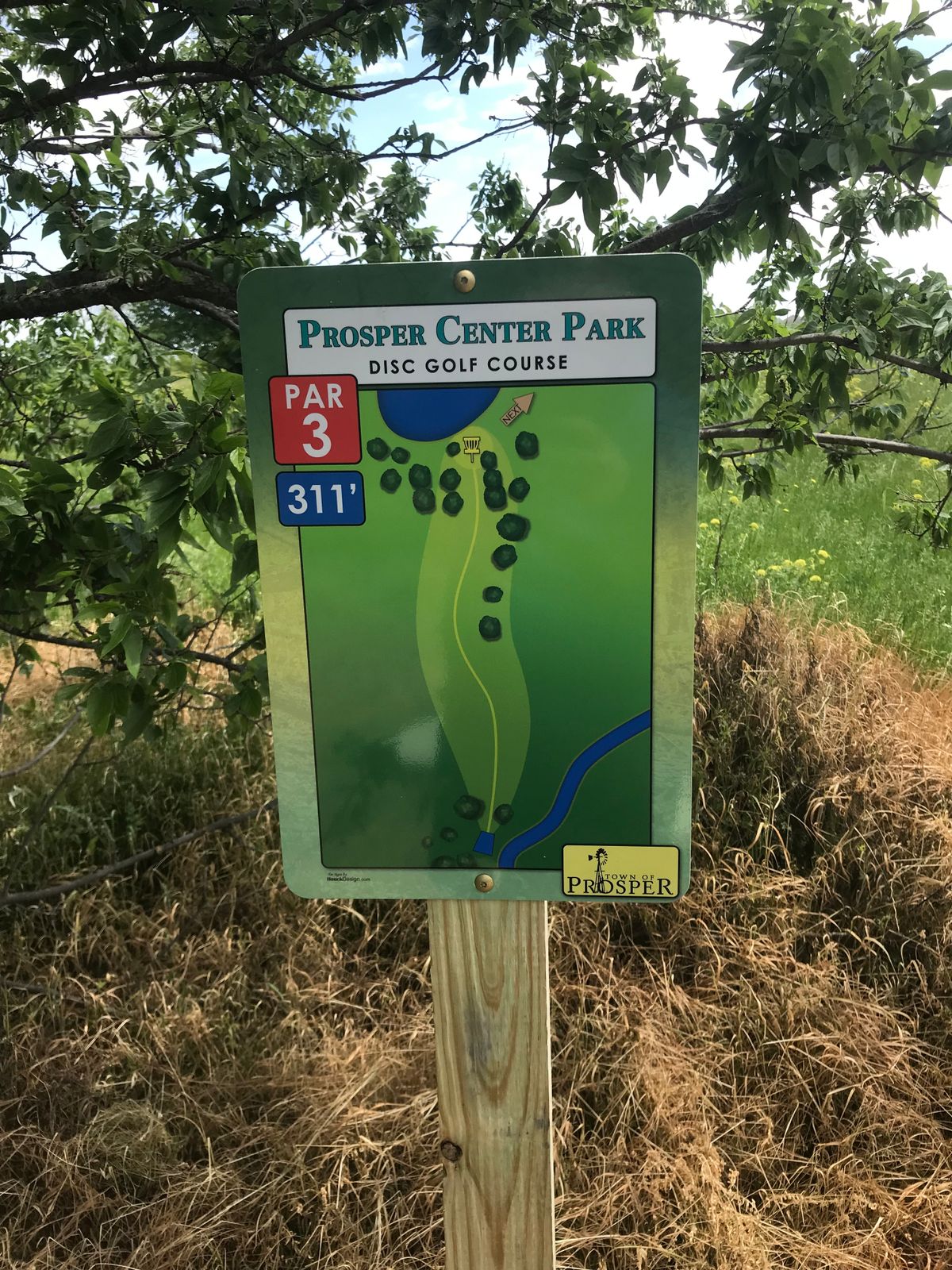 Hole 8 Map