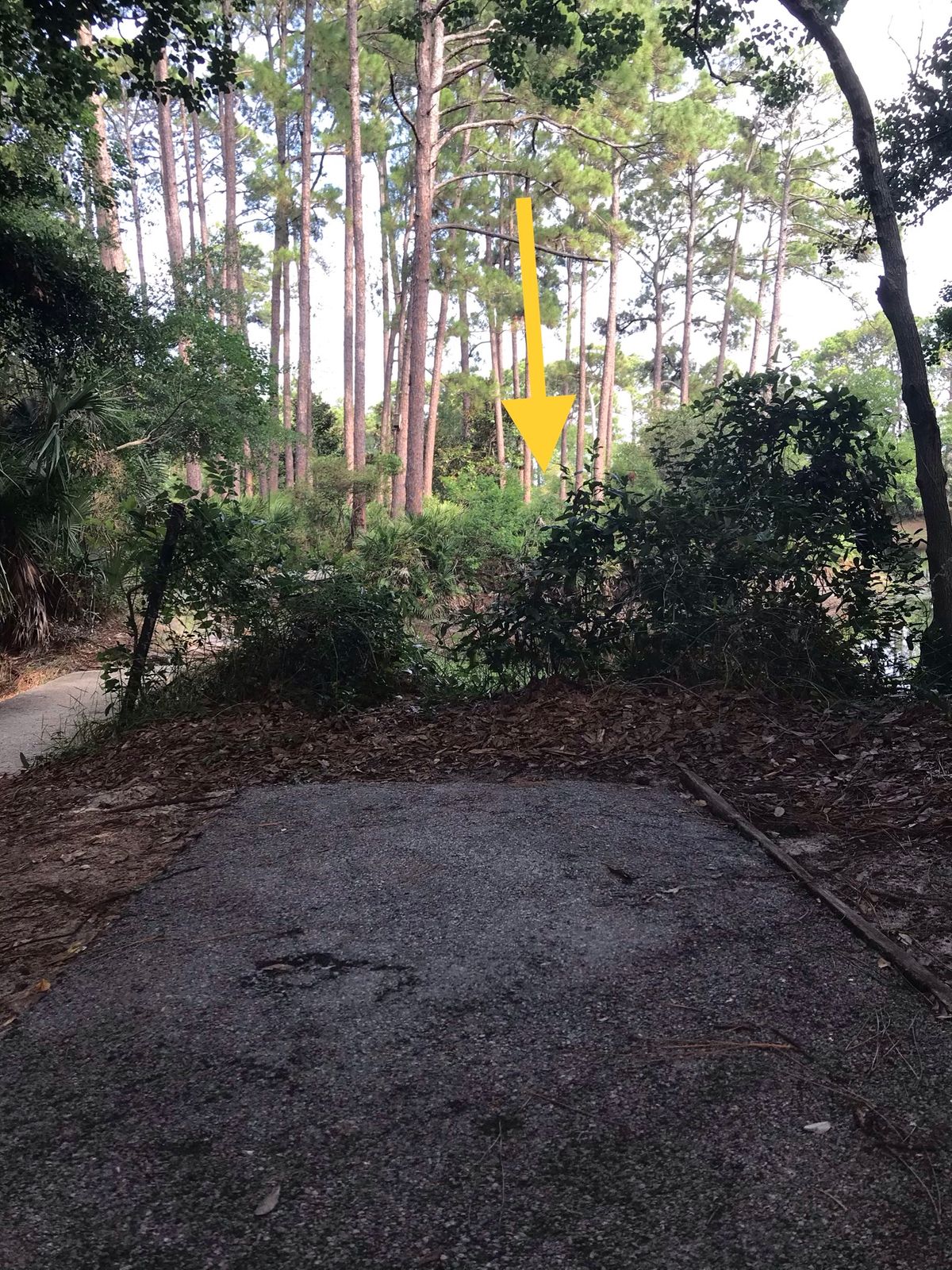 Amateur tee, 5th hole