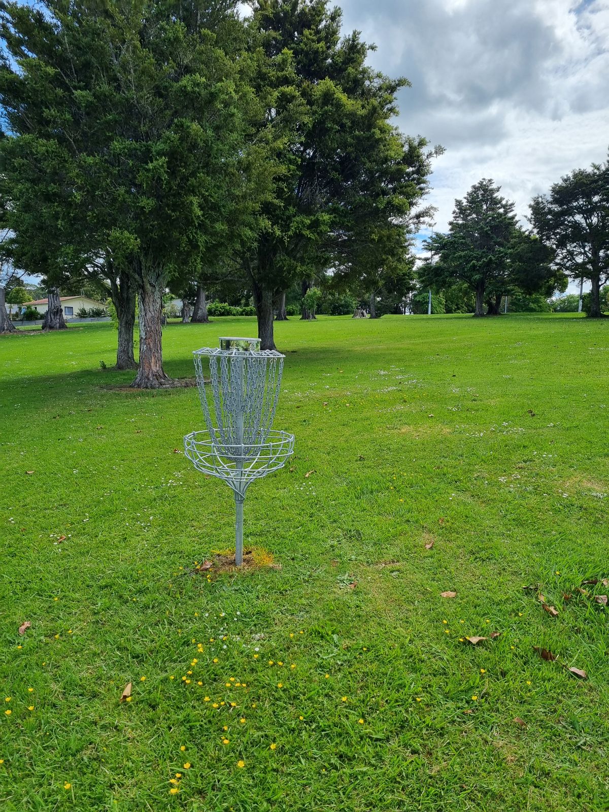 Hole 3 basket looking back toward tee