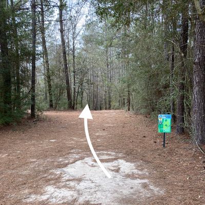 Hole 16