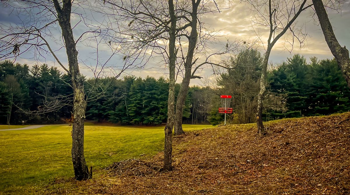 Basket of hole 1