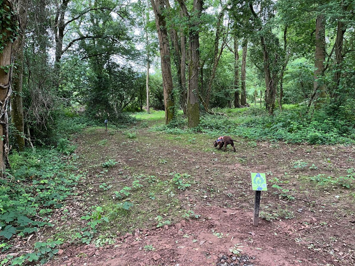 Blue tee hole 4