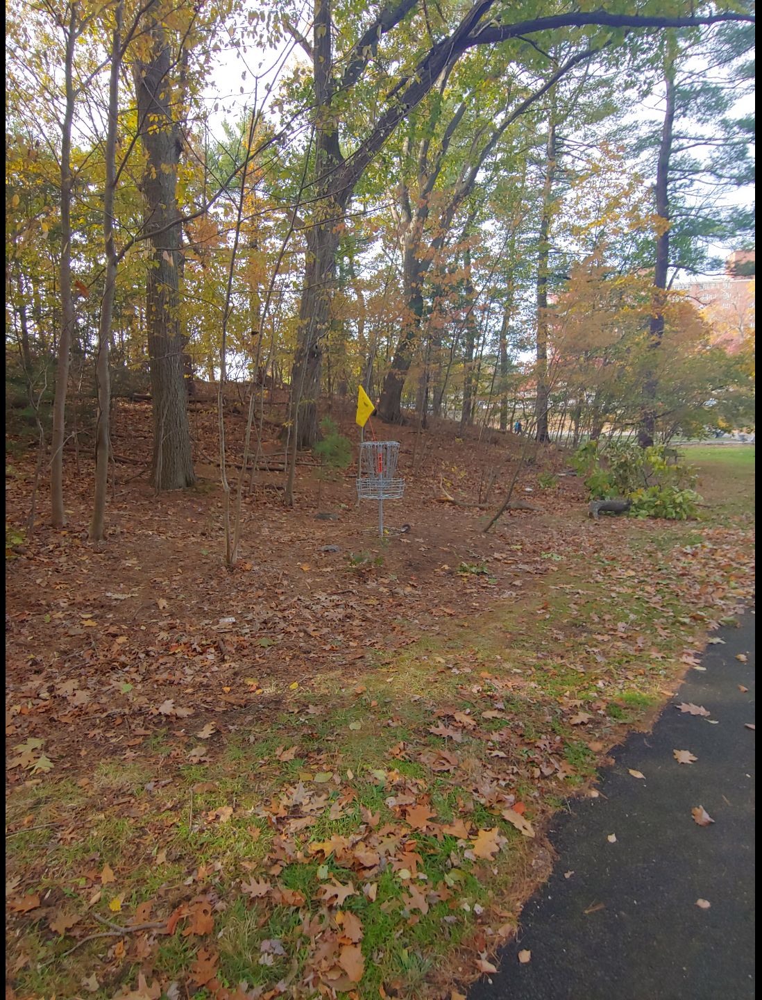 Hole 14 basket