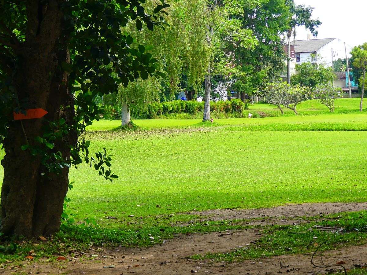 Hole 8 mando