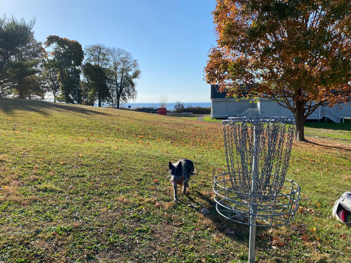Green of 18 with Long Island Sound in the background