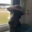 User avatar image