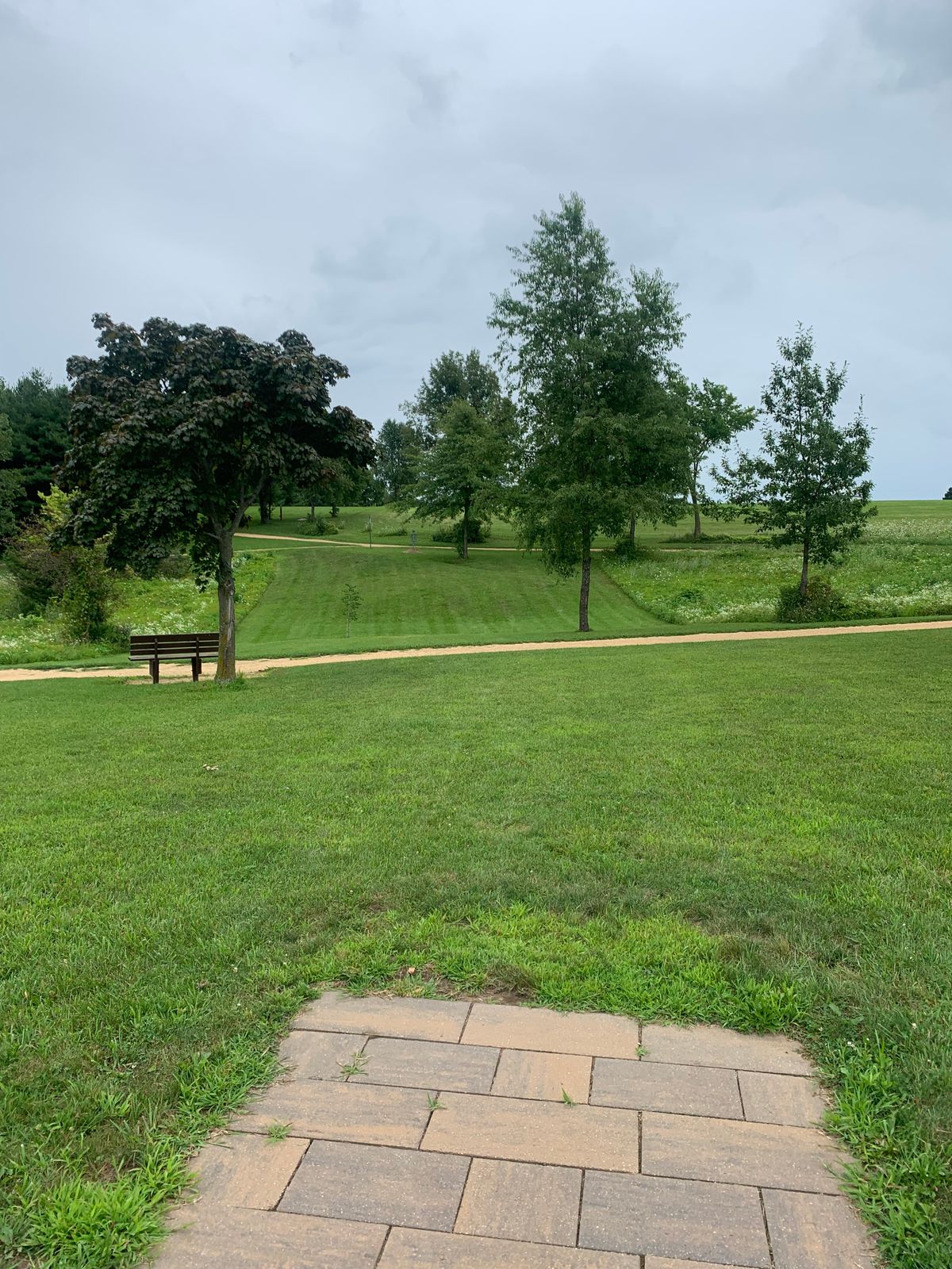 View of hole 5