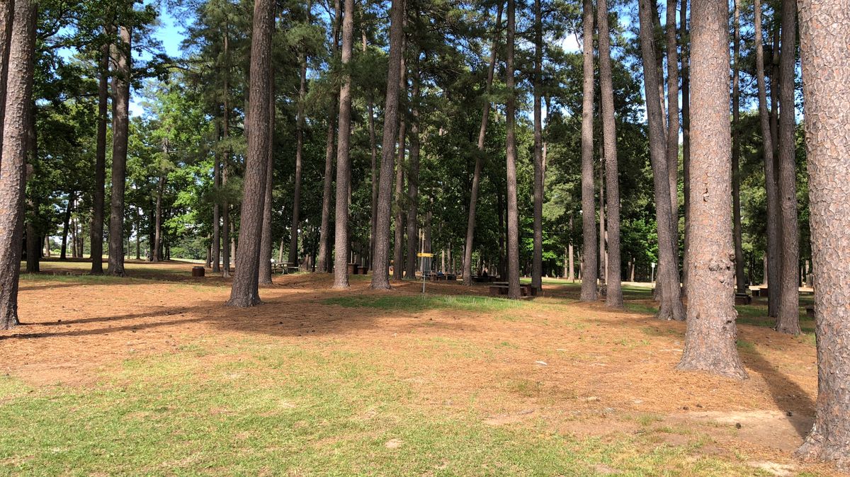 Hole 8