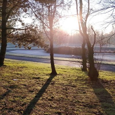 Hole 6- A crispy January morning- even more ground play than normal!