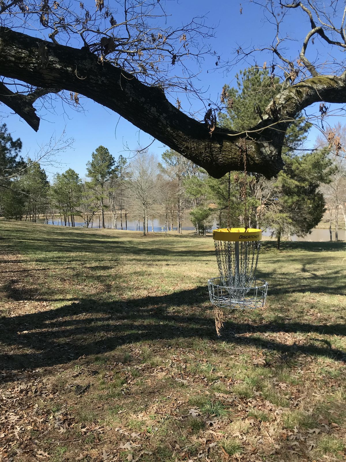 Hole 12 - basket to tee