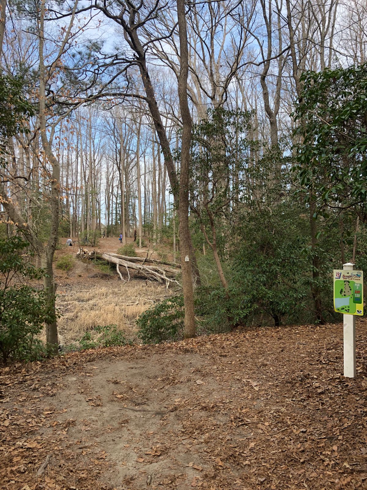 View of hole 13 from the white tees looking over the OB.