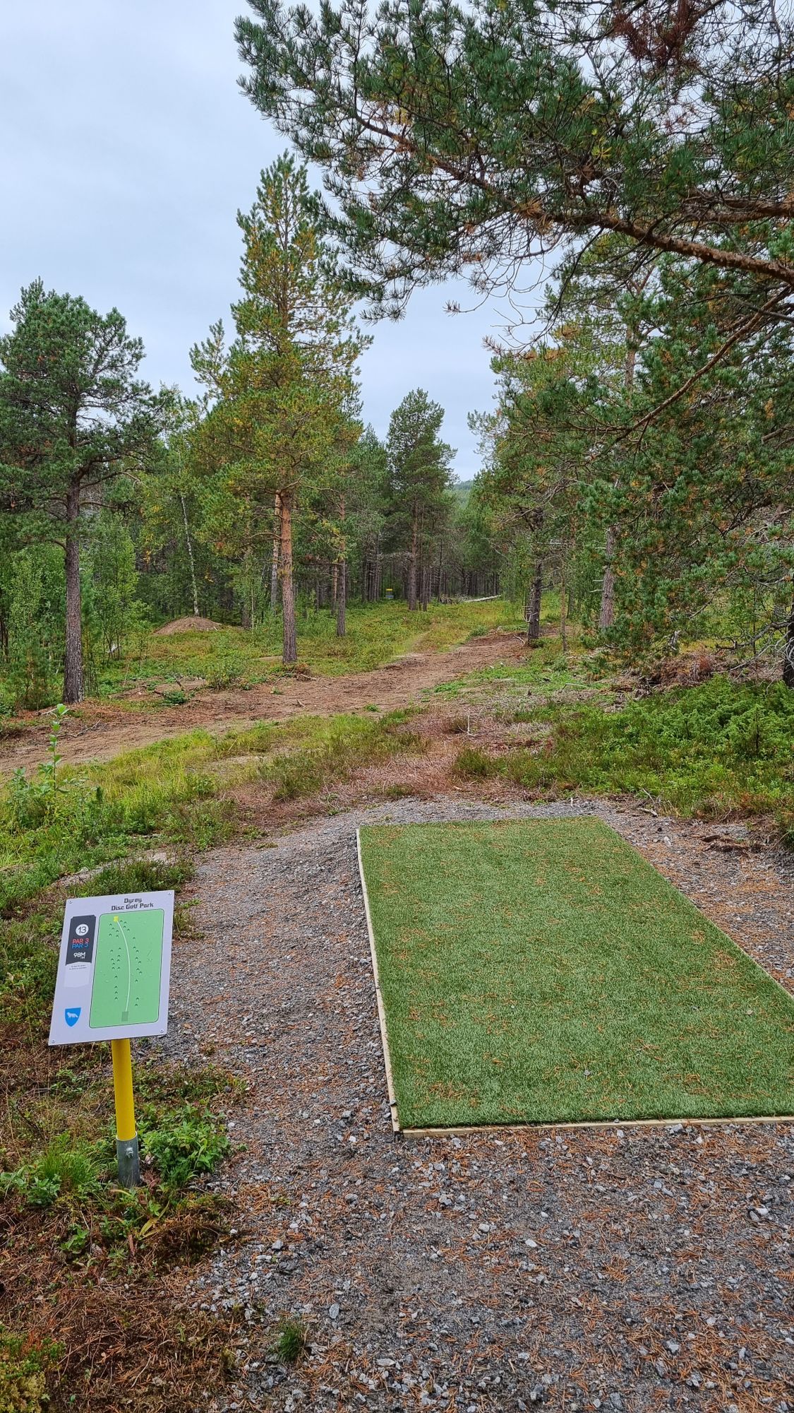 Tee 13