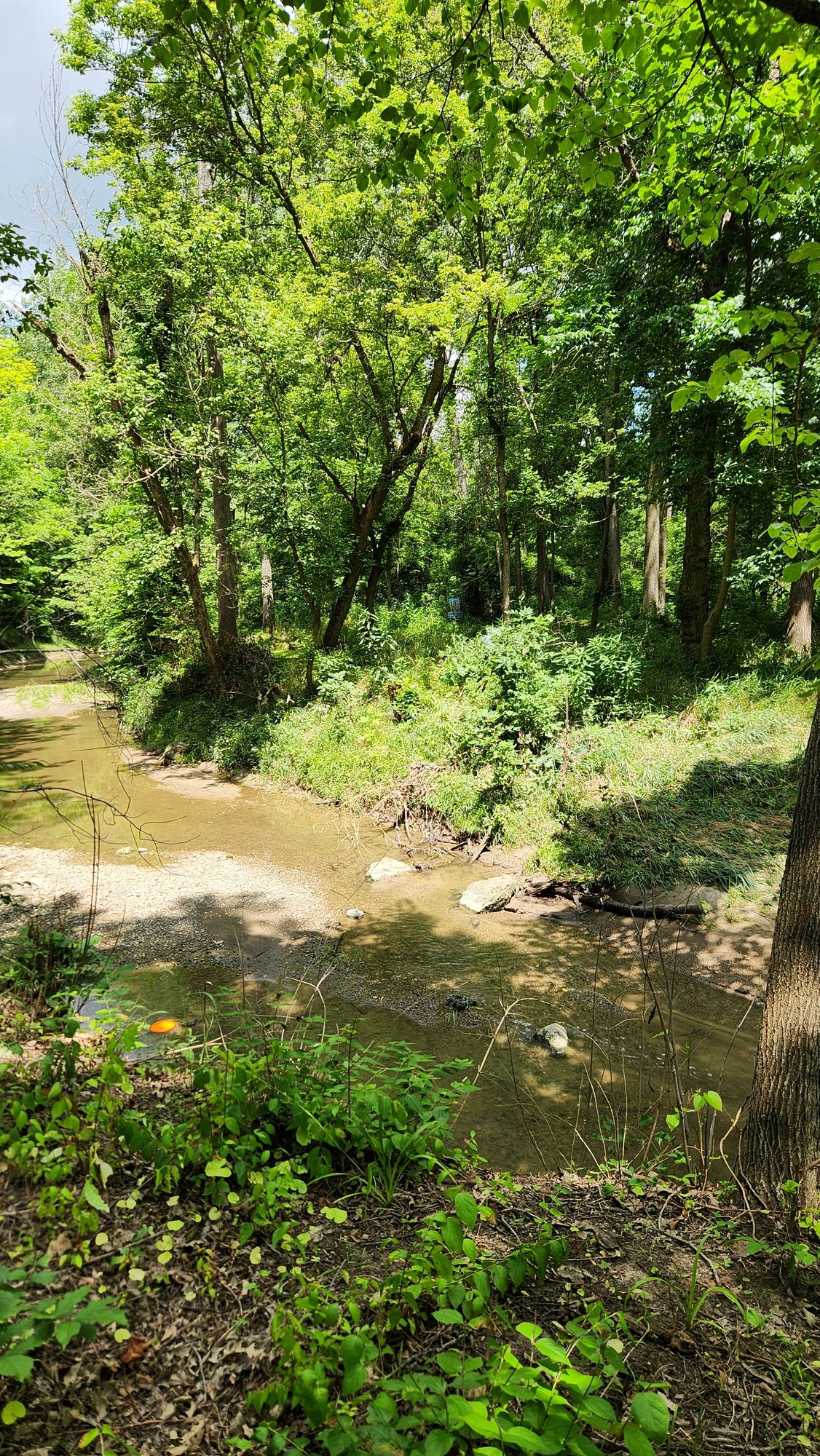 Hole 9 view from far side of the creek