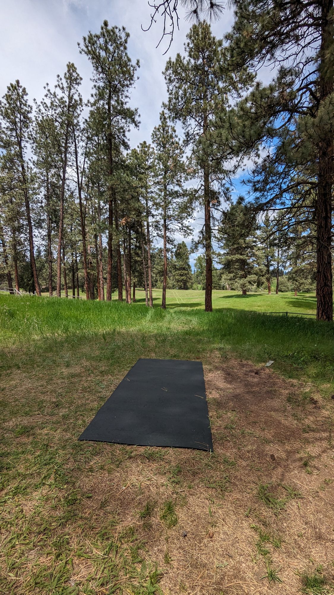 Hole 6 tpad