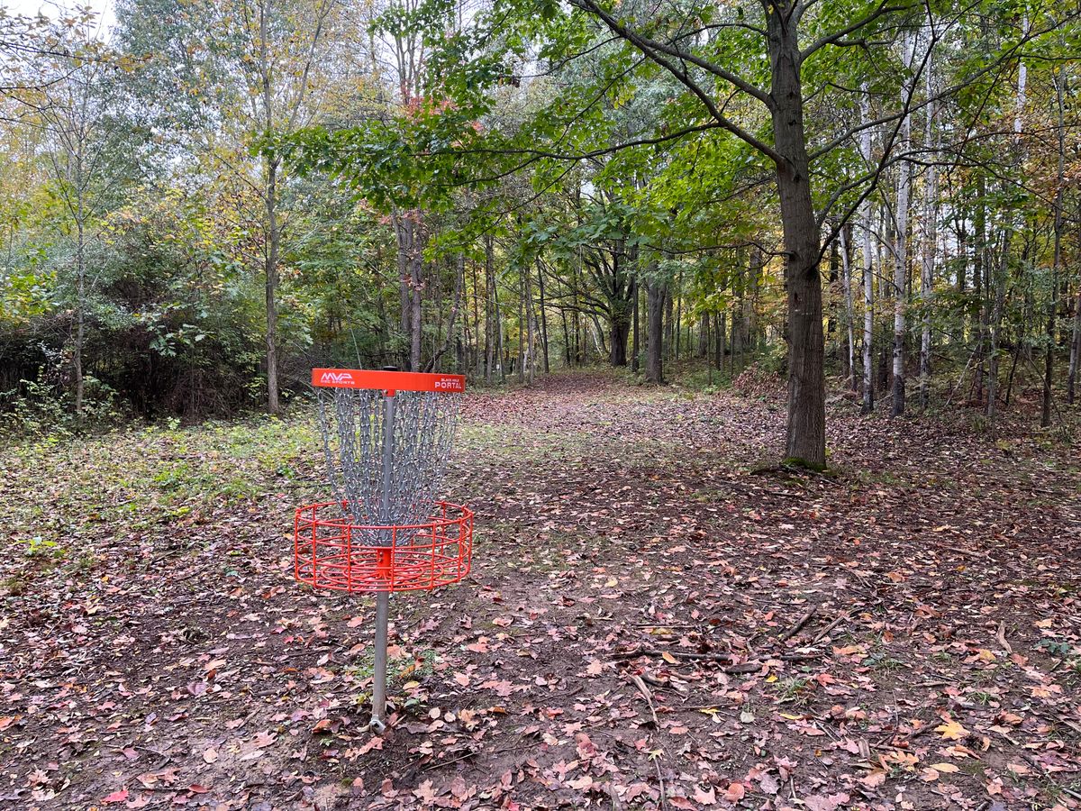 Hole 12 back up the fairway