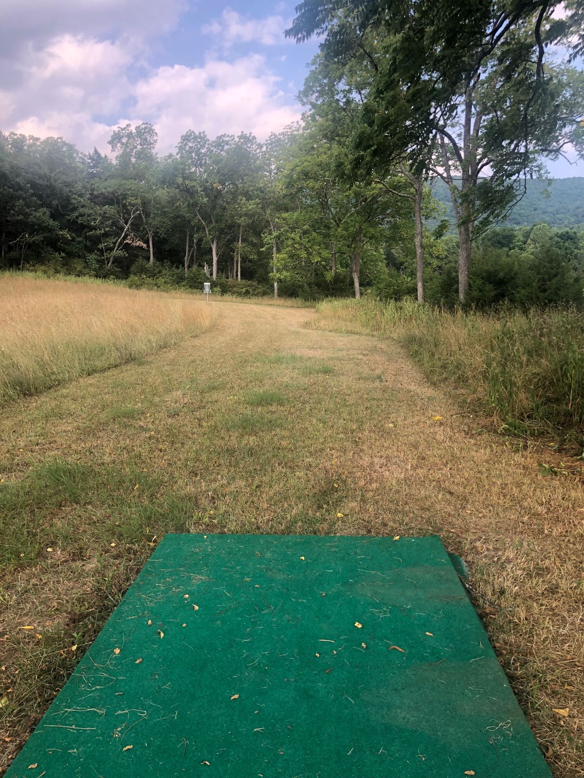Hole 6