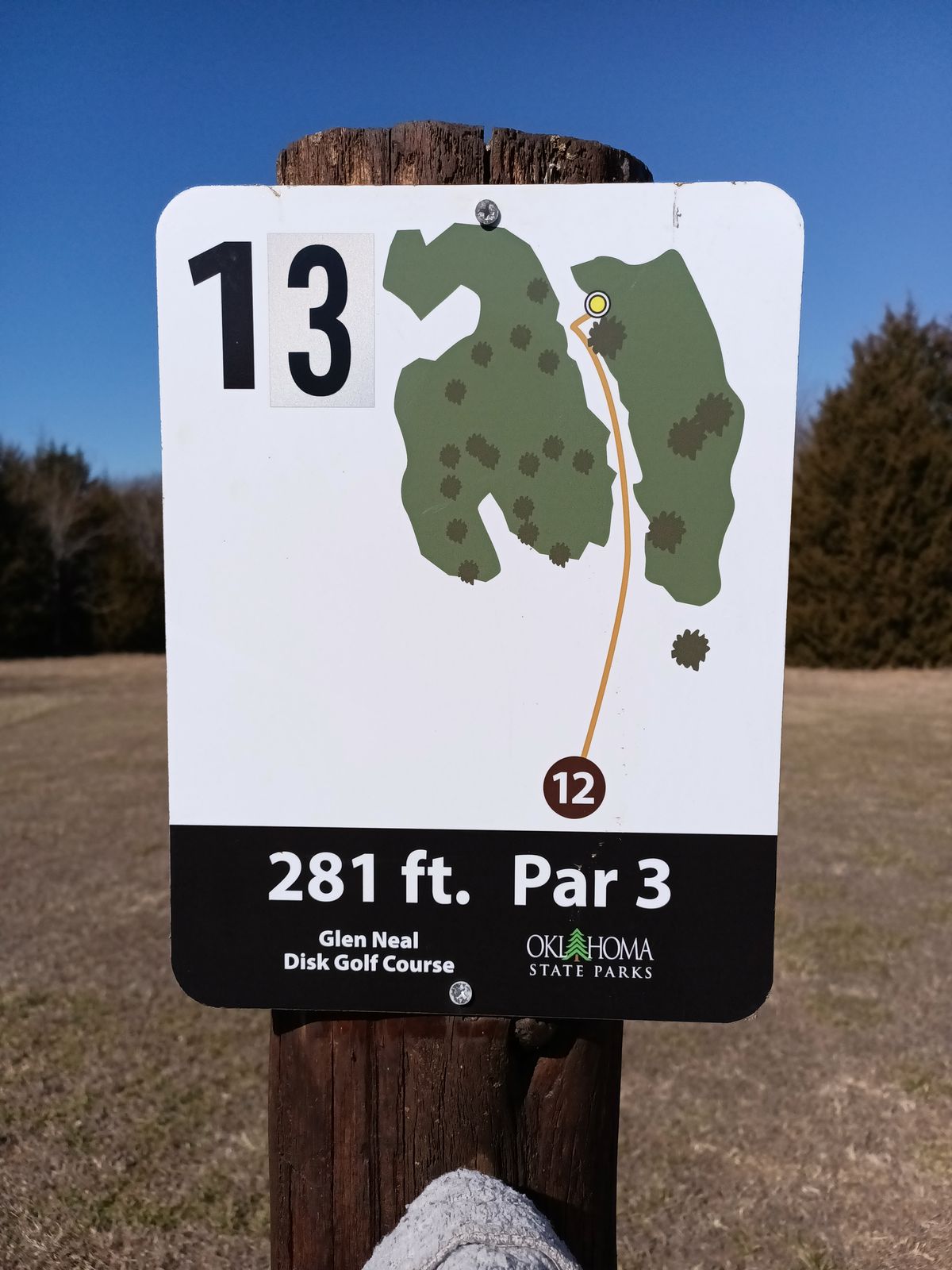13