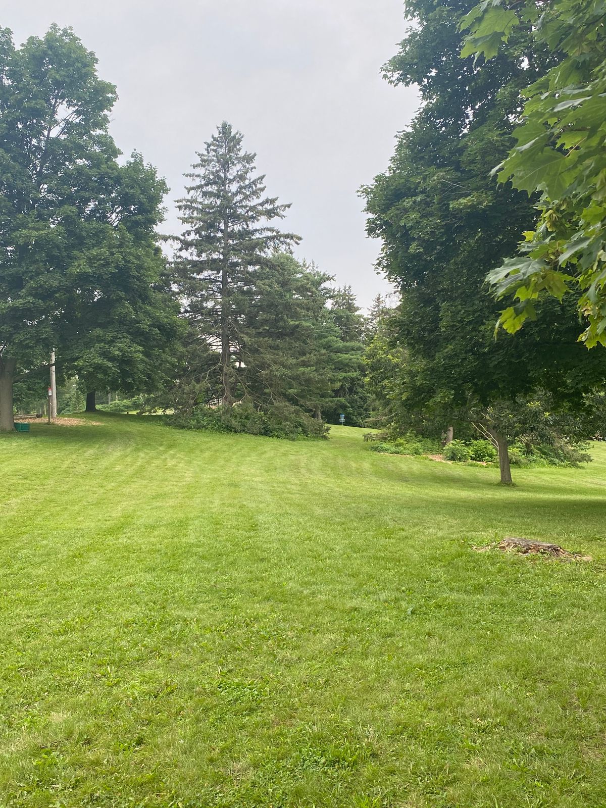 7 offers an awesome long throw with a narrow gap to hit the green.