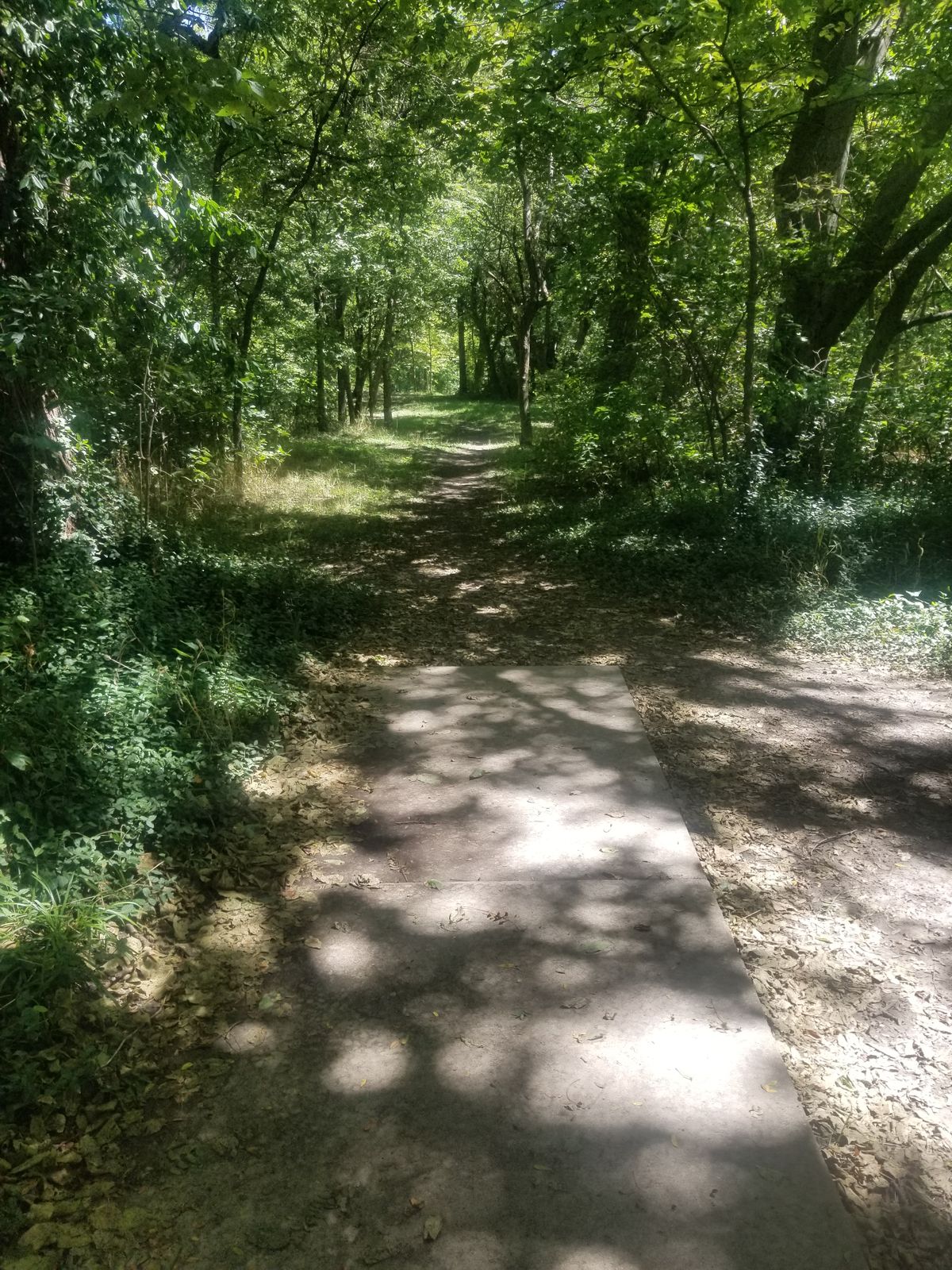 Hole #7, Blue Tee