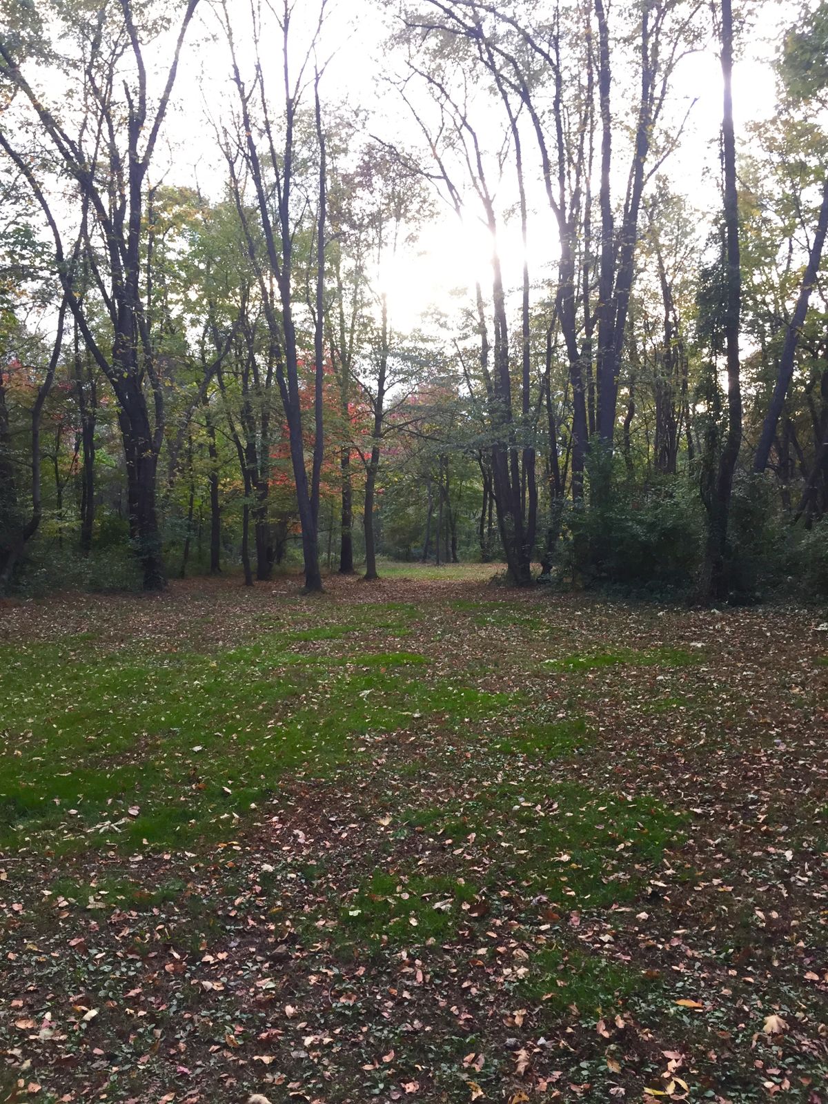 Fairway of hole 7
