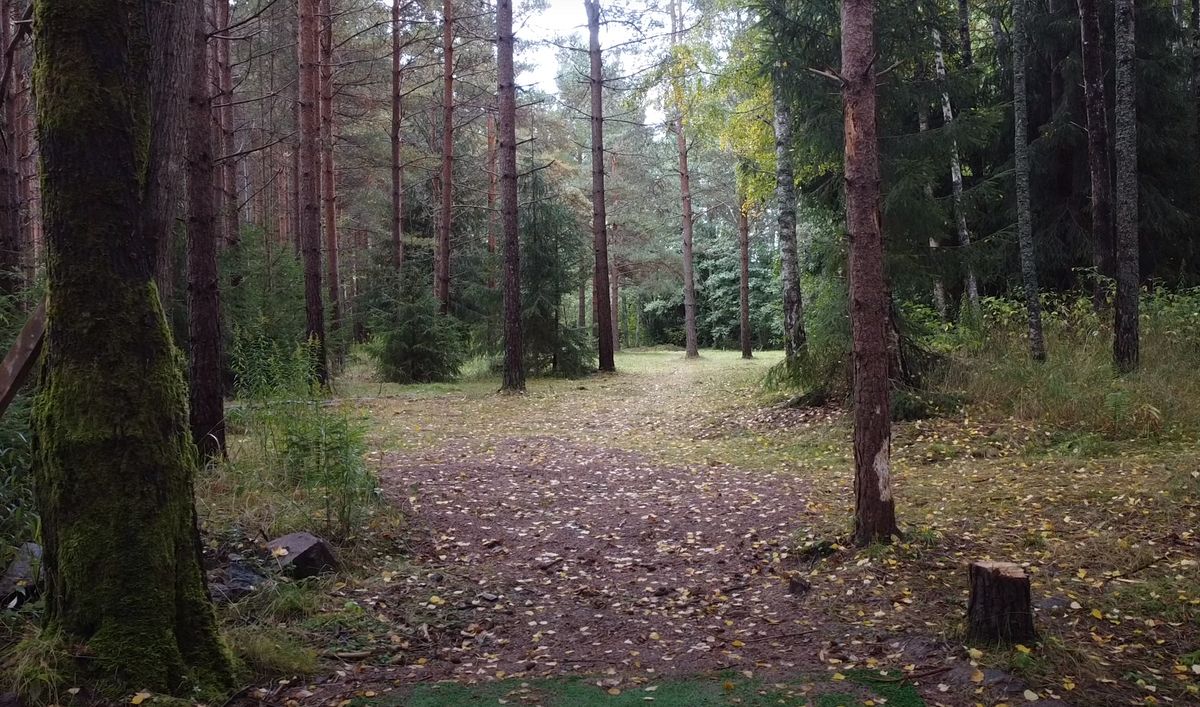 Hål 14 - Tee + Fairway