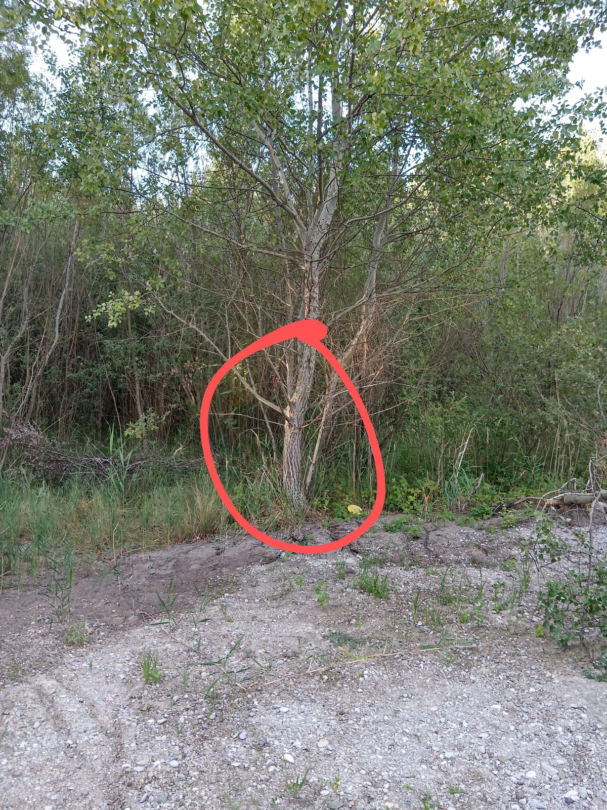 Target Hole 9
