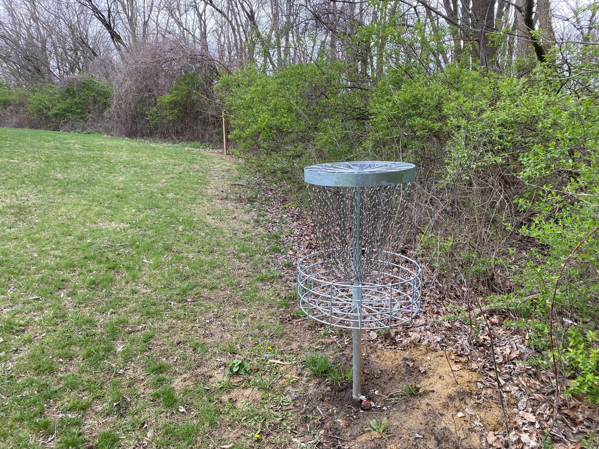Hole 5 Basket