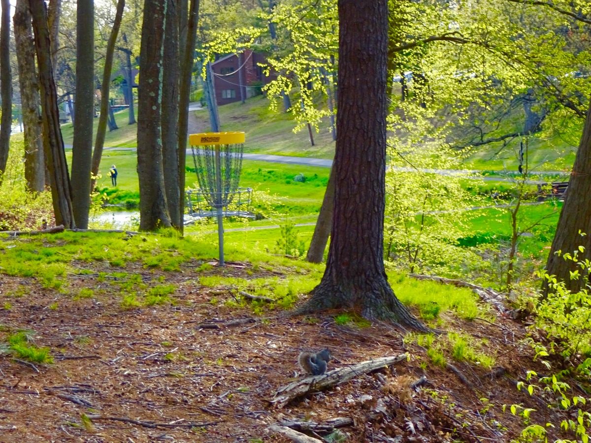 Hole 2B
