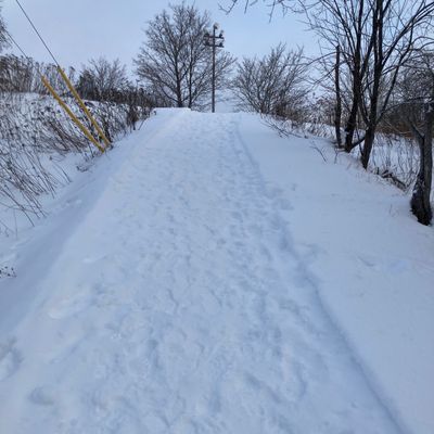 Nice pathway!!!