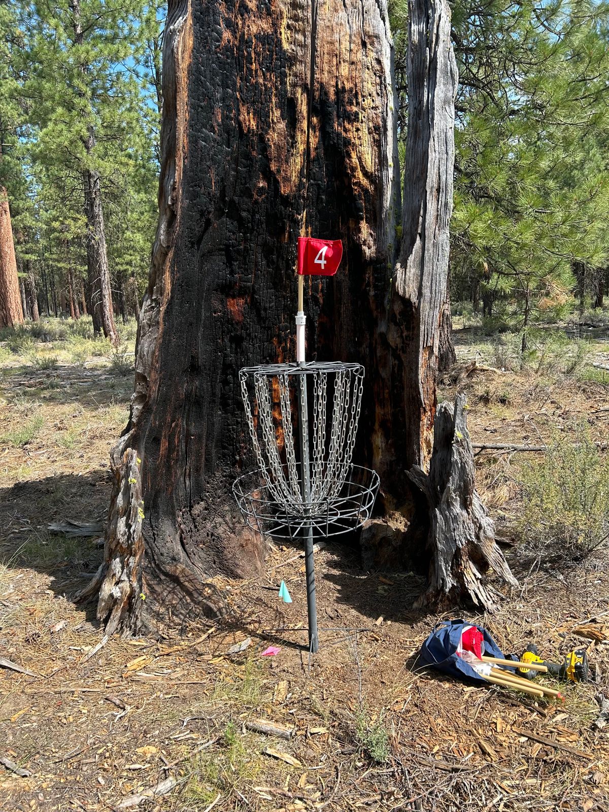 Hole 4
