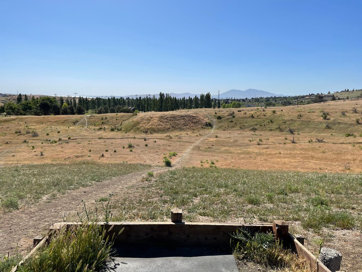 Hole 8, short basket