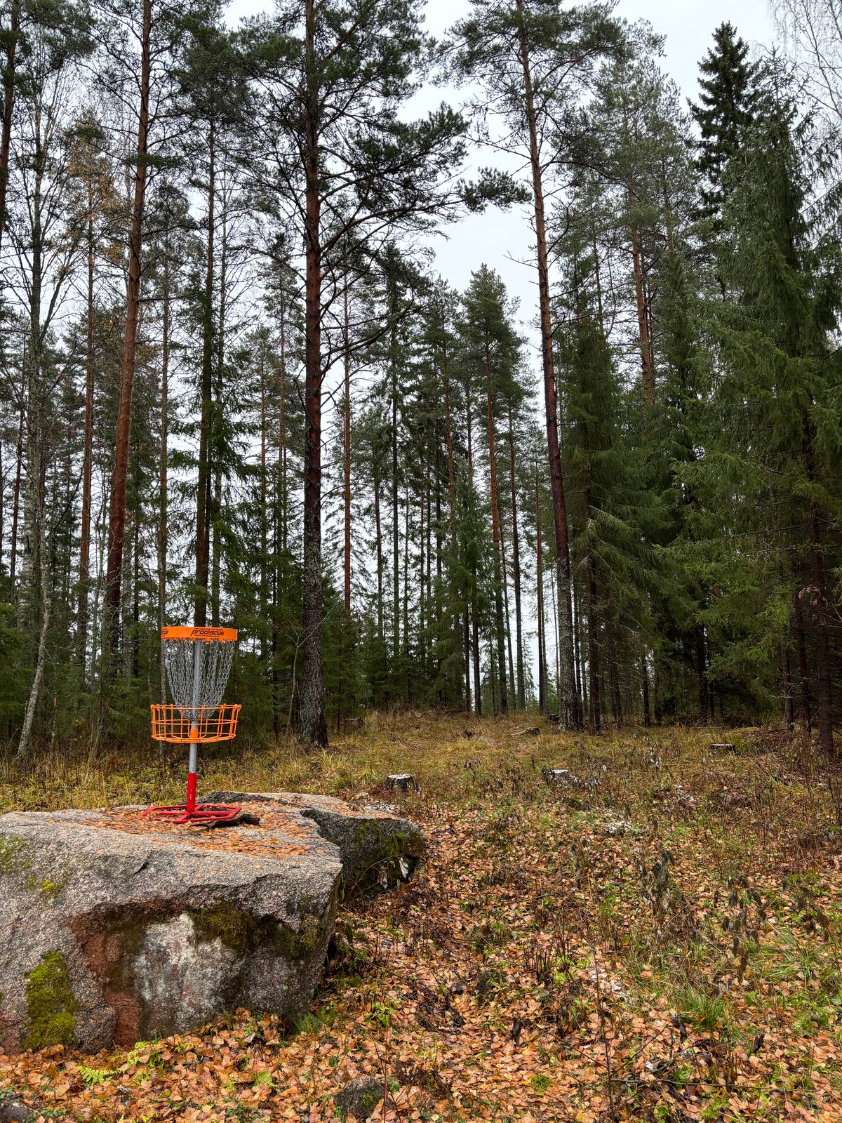 4. Väylän kori