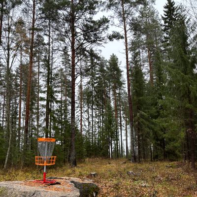 4. Väylän kori
