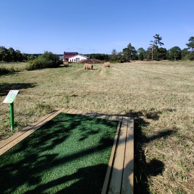 Tee #8