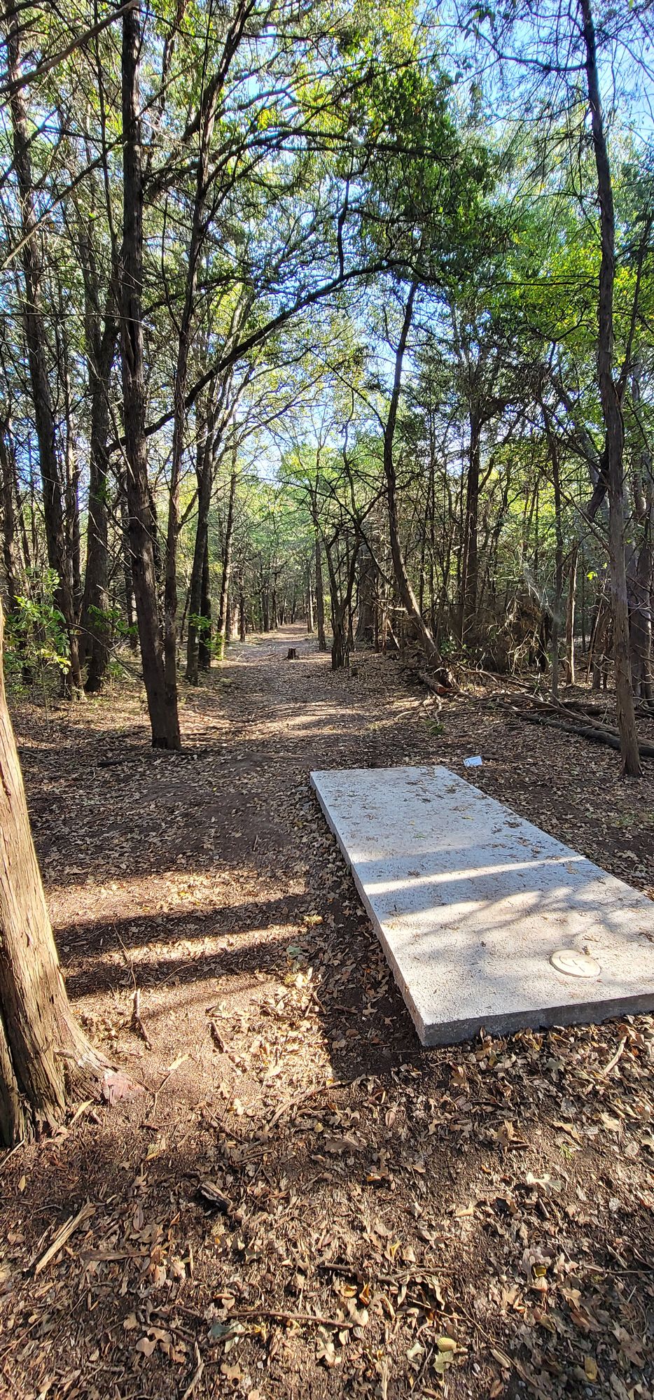 Hole 9 long tee
