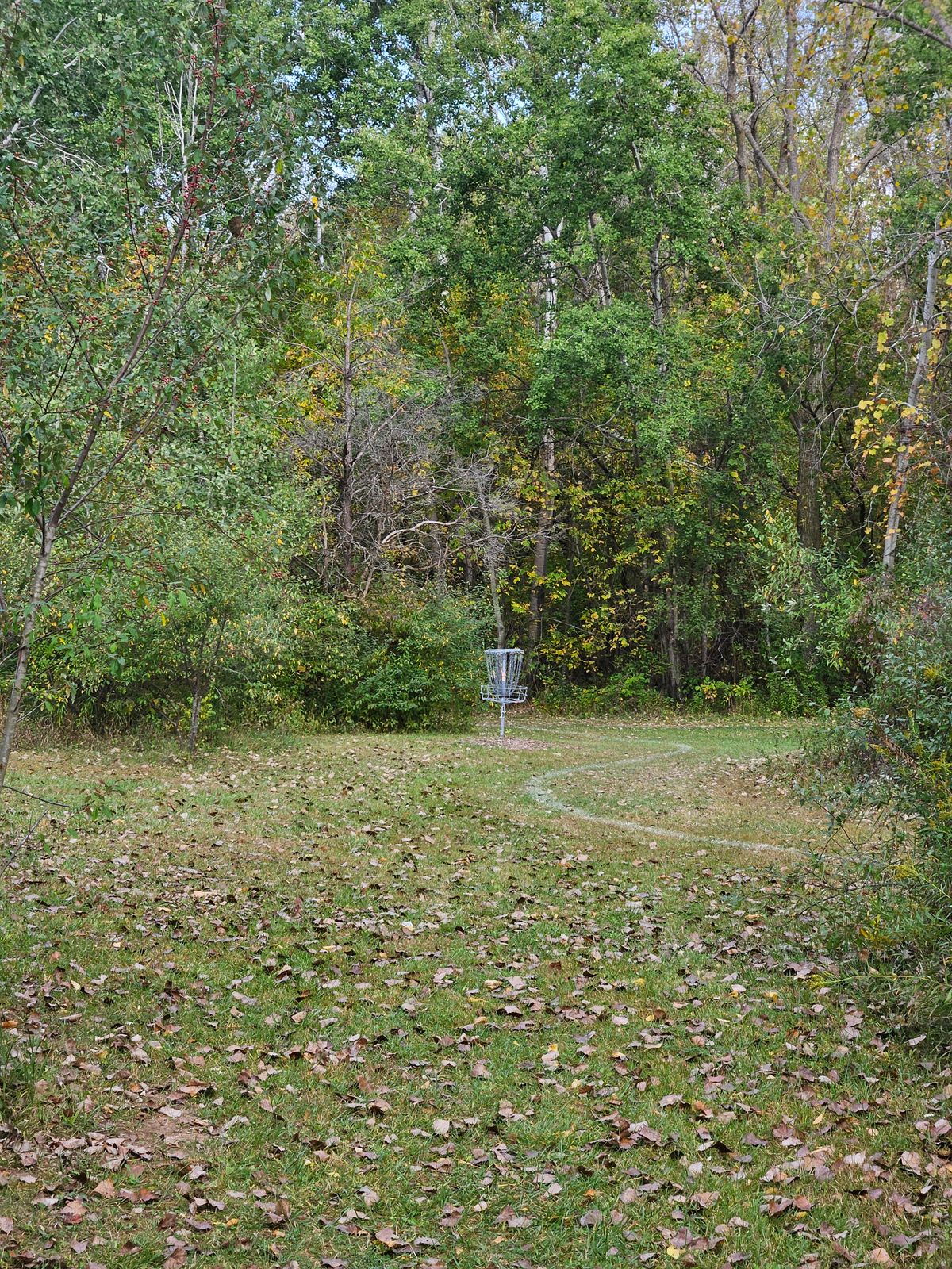 Hole11