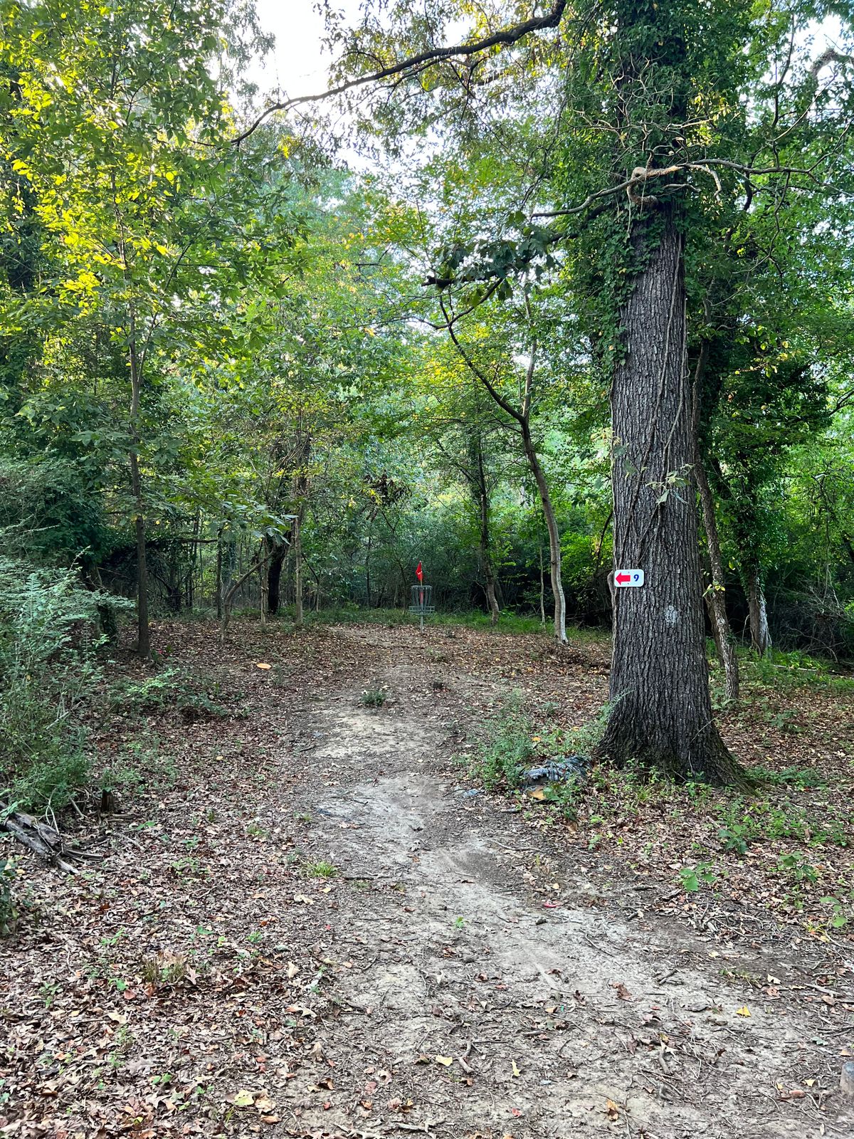 Hole 8 long position