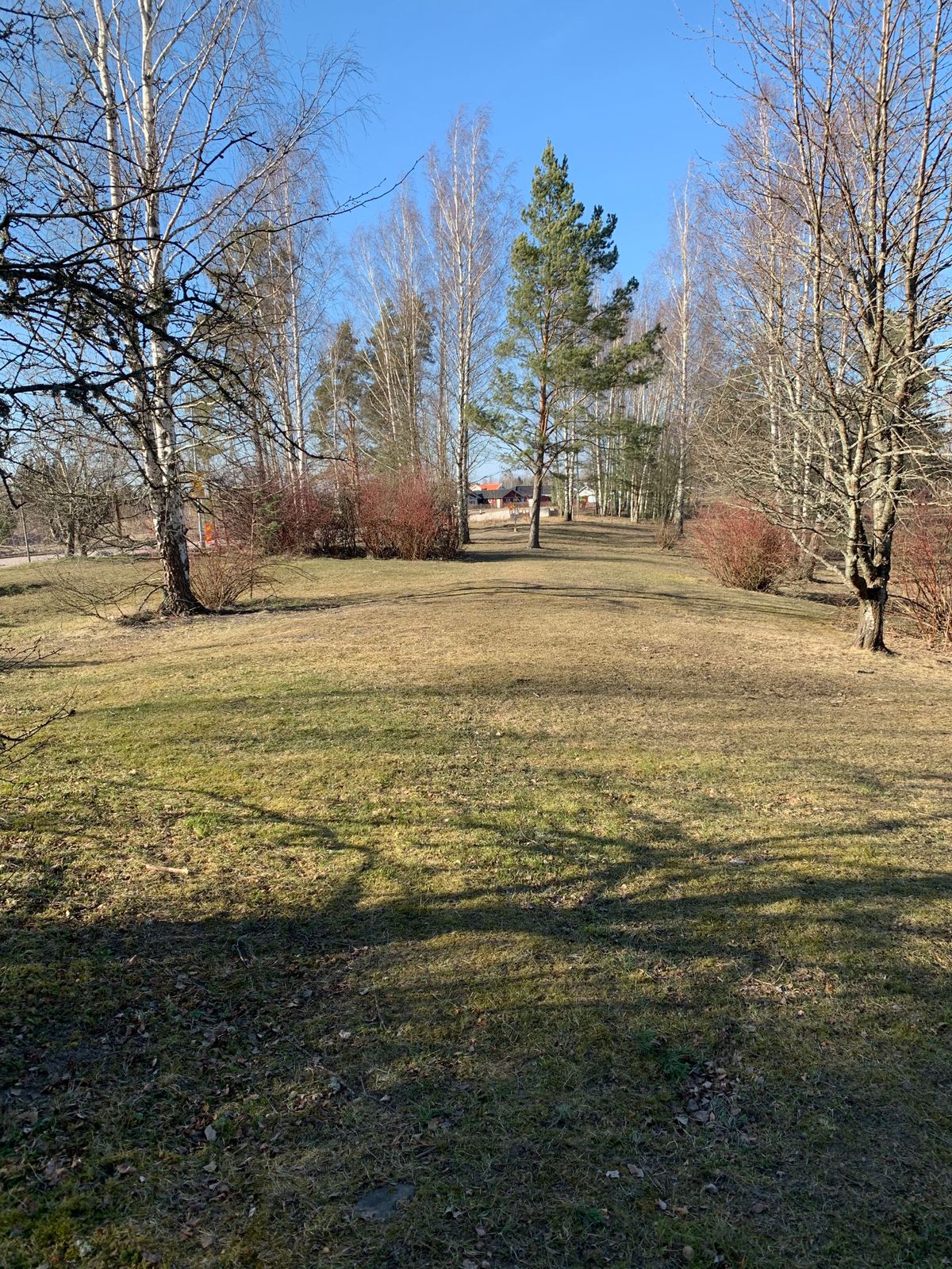 Hole 12 // Dropzone