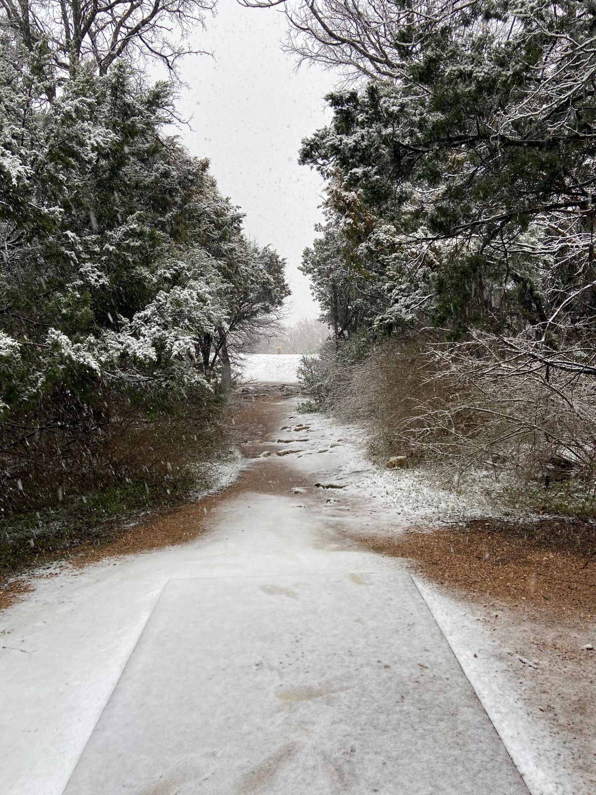 Hole #2 w/ snow