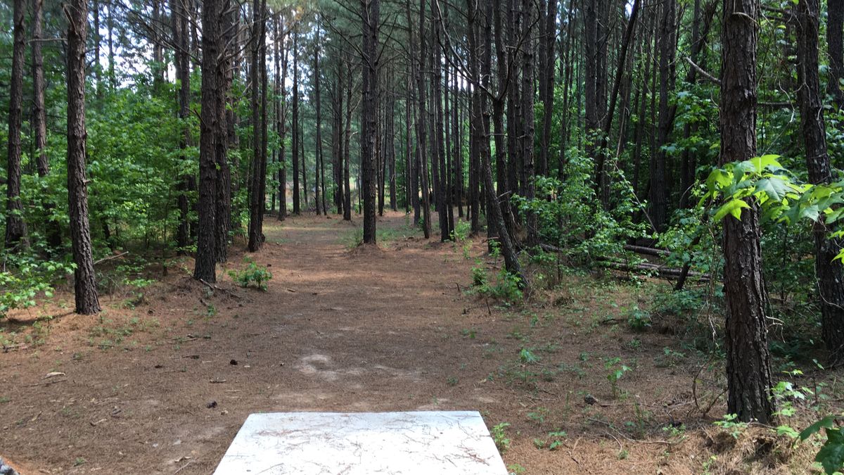 Hole 3