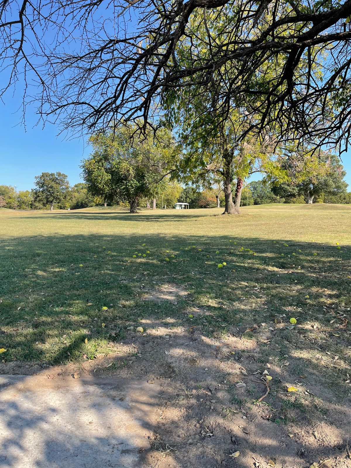 Hole 7’s tee